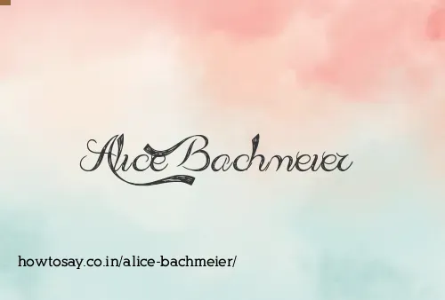 Alice Bachmeier