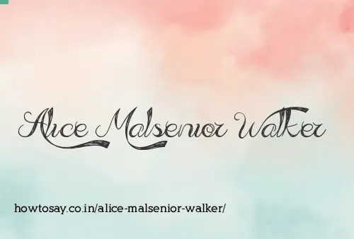 Alice Malsenior Walker
