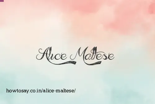 Alice Maltese