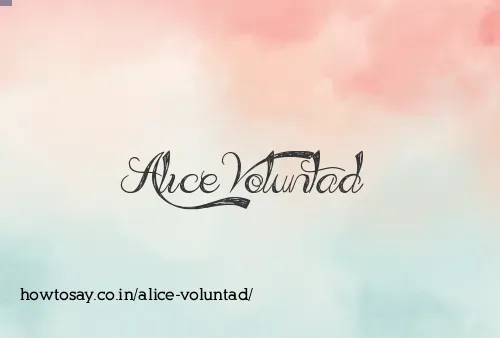 Alice Voluntad