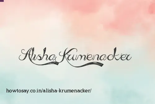 Alisha Krumenacker