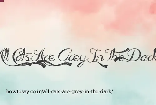 All Cats Are Grey In The Dark
