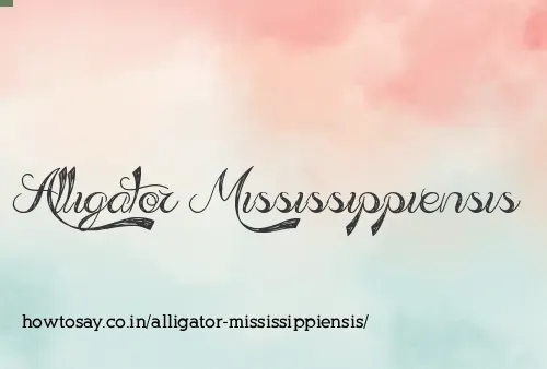 Alligator Mississippiensis
