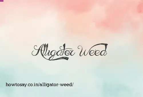 Alligator Weed