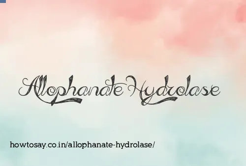 Allophanate Hydrolase