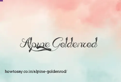 Alpine Goldenrod