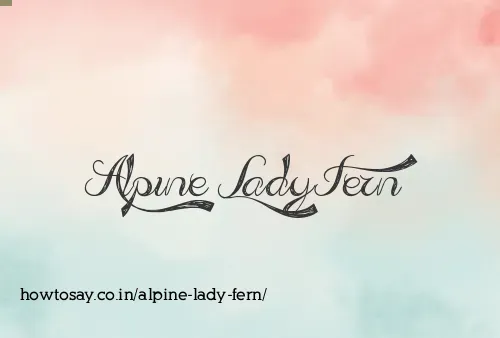 Alpine Lady Fern