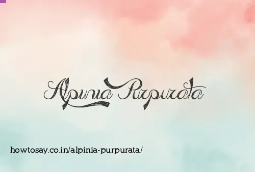 Alpinia Purpurata