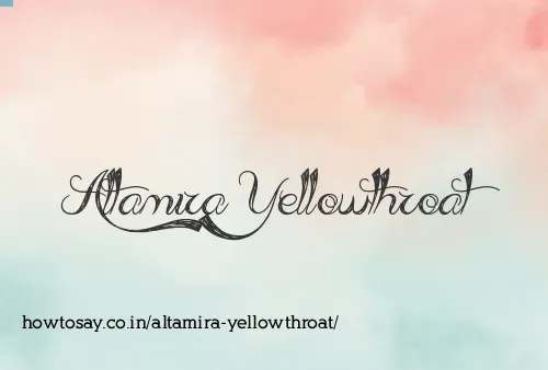 Altamira Yellowthroat