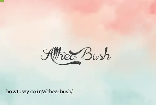 Althea Bush