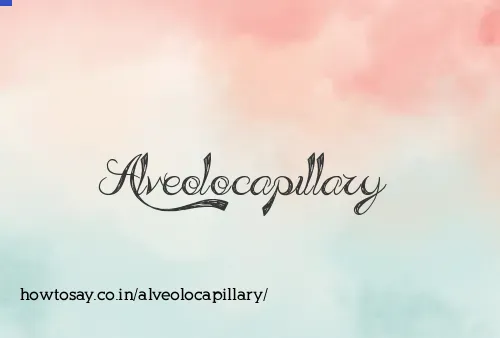 Alveolocapillary