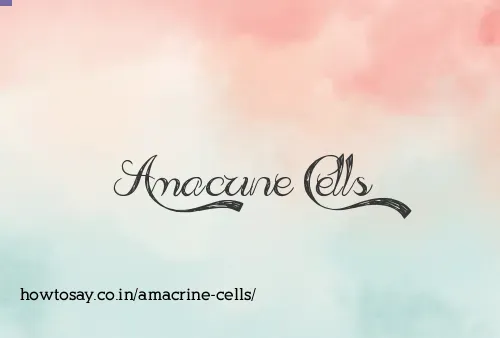 Amacrine Cells