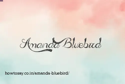 Amanda Bluebird