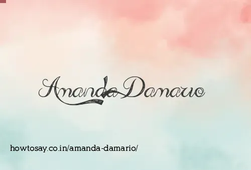 Amanda Damario