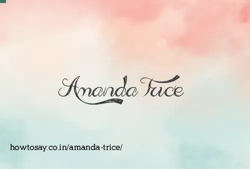 Amanda Trice