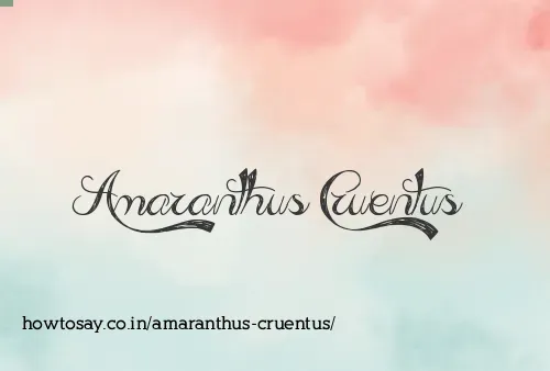 Amaranthus Cruentus