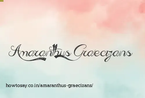 Amaranthus Graecizans