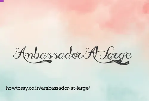 Ambassador At Large