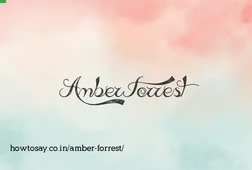 Amber Forrest