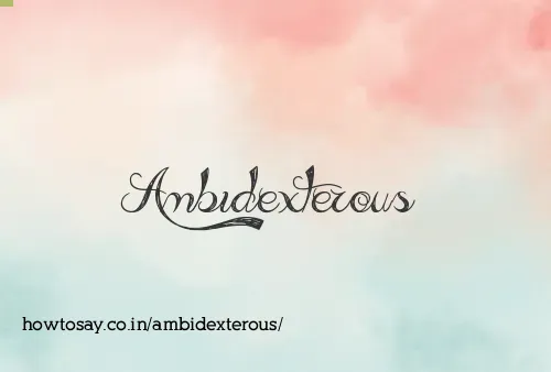 Ambidexterous