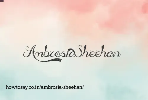 Ambrosia Sheehan