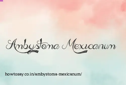 Ambystoma Mexicanum