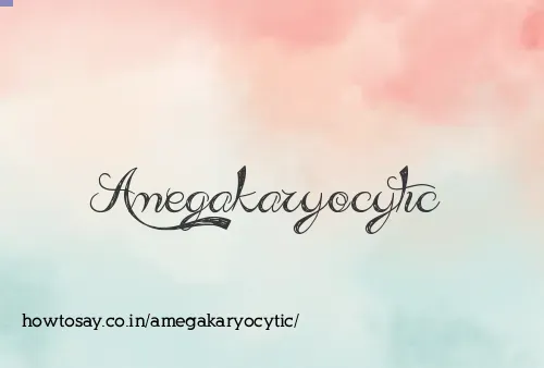 Amegakaryocytic