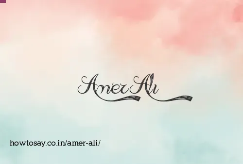 Amer Ali