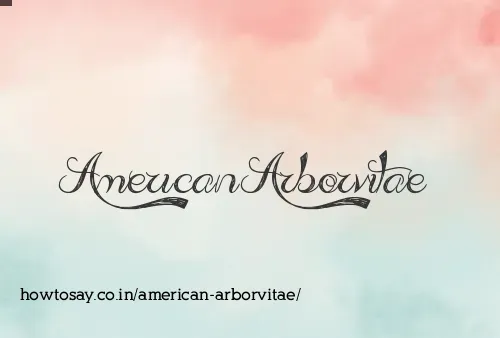 American Arborvitae