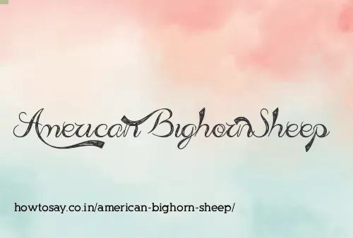 American Bighorn Sheep