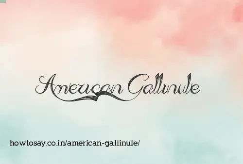 American Gallinule