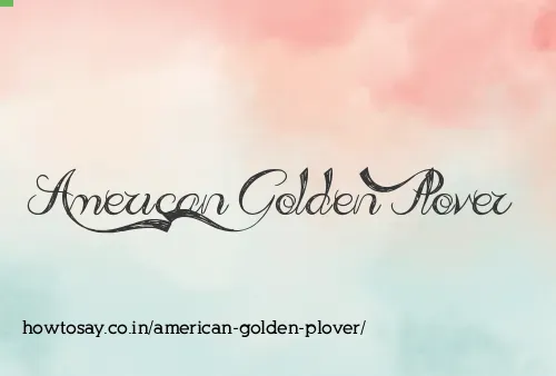 American Golden Plover