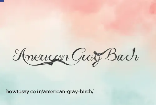 American Gray Birch