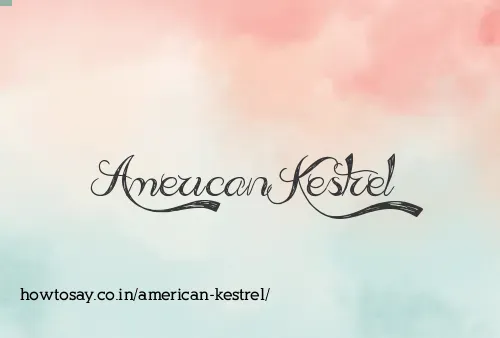 American Kestrel