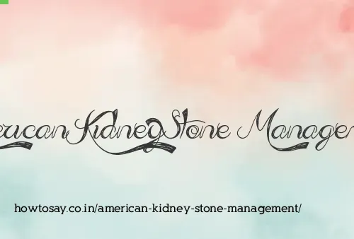 American Kidney Stone Management