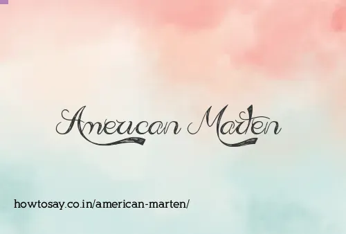 American Marten