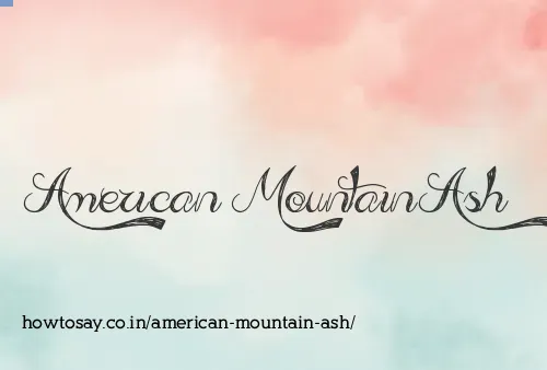 American Mountain Ash