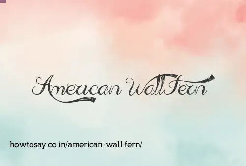 American Wall Fern