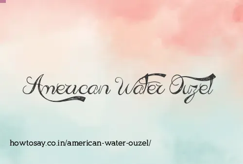 American Water Ouzel