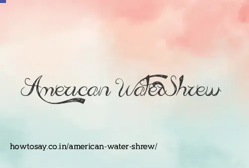 American Water Shrew
