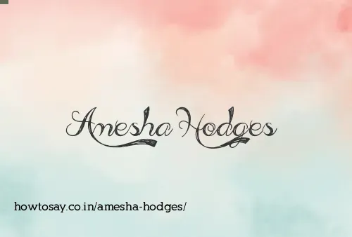 Amesha Hodges