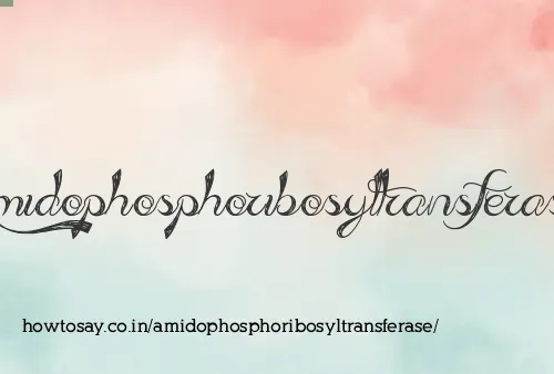 Amidophosphoribosyltransferase