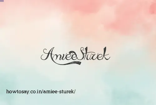 Amiee Sturek
