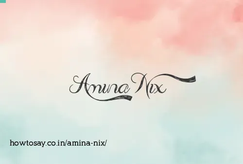 Amina Nix