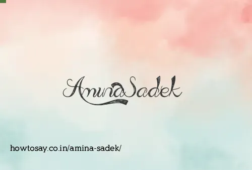 Amina Sadek