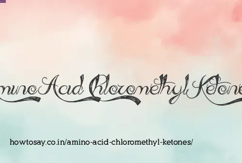 Amino Acid Chloromethyl Ketones