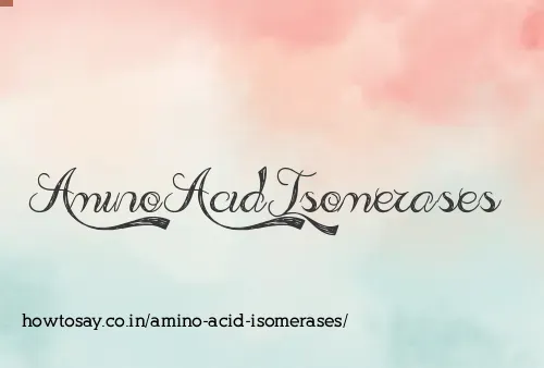 Amino Acid Isomerases