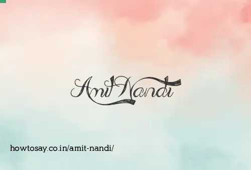 Amit Nandi