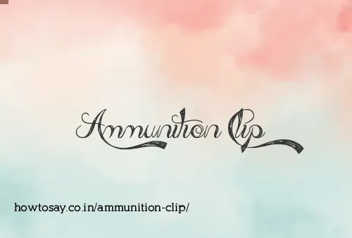 Ammunition Clip