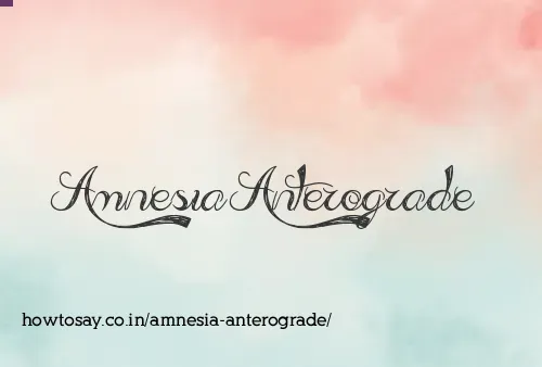 Amnesia Anterograde